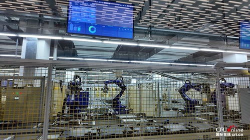 青春華章 走進天津天開園，感受新質潮涌中的攝影擴印服務